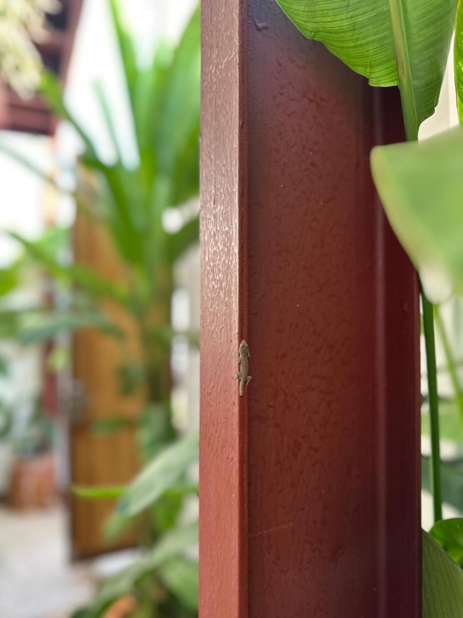 Palmcalina - Phuqui Beach House Cu Lao Thu Exterior photo